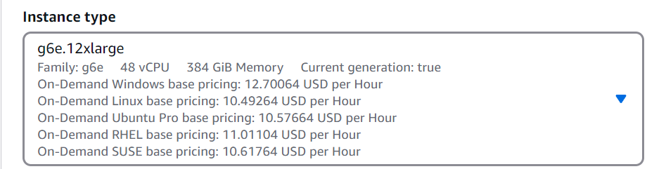 AWS g6e.12xlarge instance details showing 4x NVIDIA L40 GPUs